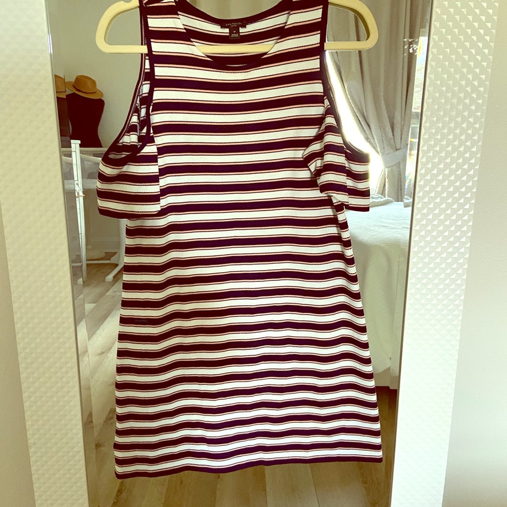 Ann Taylor Fitted Summer Dress